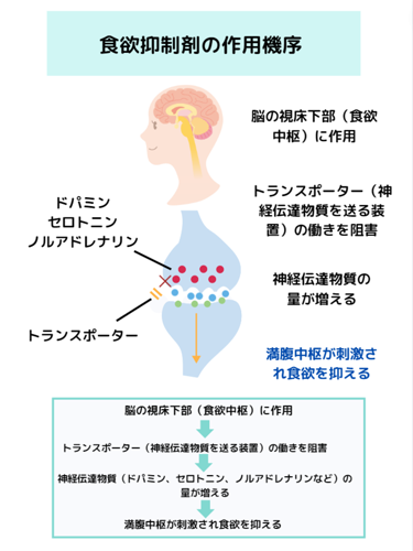 過食にさようなら : 止まらない食欲をコントロールする X-Knowledge | 過食にさようなら-止まらない食欲をコントロールする-